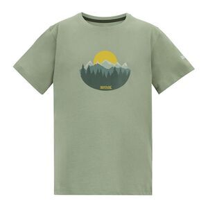 Regatta Childrens/Kids Bosley Sunset T-Shirt / Sage Green